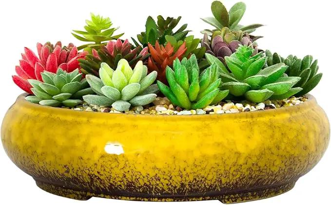 Succulent Pots - 11.5 Inch Ceramic Bonsai Pots with Drainage, Large Shallow Succulent Planters for Indoor Outdoor Plants, Round Glazed Cactus Flower Plant Container Bowl Home Desk Decor(Yellow) by GreenHaven Gardens