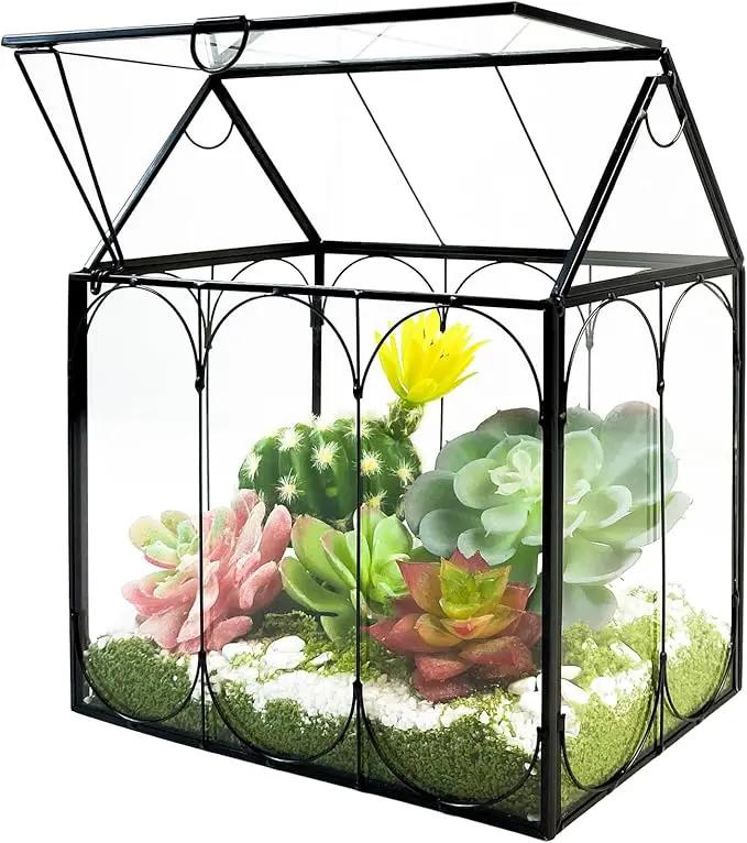 Plant Terrarium Jar, Rifny Indoor House Shape Glass Terrarium Planter with Lid for Venus Fly Trap Succulent Live Air Plants, Small Terrarium Decor for Home Office (Without Plants) by GreenHaven Gardens
