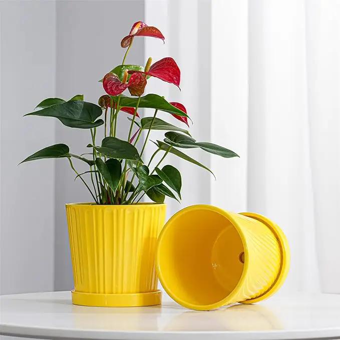 Ton Sin Plant Pots, 6 Inch Flower Pots for Plants,Ceramic Planter with Drainage Holes,Indoor Planter Pots with Saucer,Outdoor Garden Pots (Yellow, 4 Pack) by GreenHaven Gardens