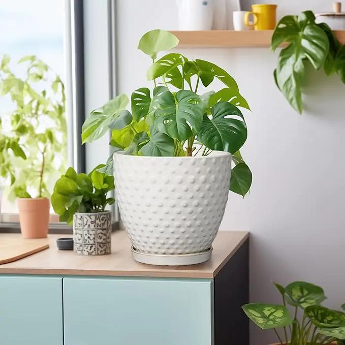 G EPGardening 8 Inch Plant Pot for Indoor Outdoor Plants Round Ceramic Planter Pot with Drainage Hole and Saucer Modern Large Flower Pot White by GreenHaven Gardens