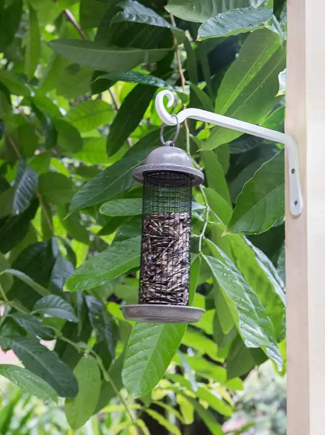 Mkono Hanging Plant Bracket 10 inch Metal Wall Plant Hook Decorative Plant Hanger for Bird Feeders, Planters, Lanterns, Wind Chimes, Home Decor Indoor Outdoor 2 Pack, White by GreenHaven Gardens