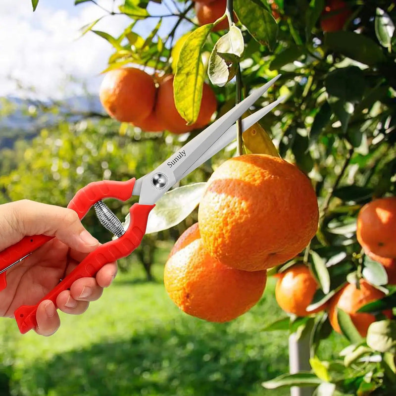 Extra Long Pruning Shears, Gardening Hand Pruners with Stainless Steel Blades, Garden scissors for Arranging Flowers, Trimming Plants, Harvesting Herbs, Fruits or Vegetables, 9.5IN by GreenHaven Gardens