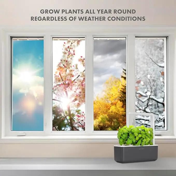 Click & Grow Indoor Herb Garden Kit with Grow Light | Smart Garden for Home Kitchen Windowsill | Easier Than Hydroponics Growing System | Vegetable Gardening Starter (3 Basil Pods Included), Grey by GreenHaven Gardens