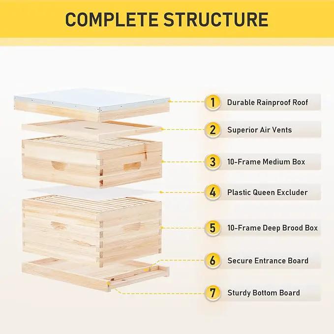 CREWORKS Bee Hive Boxes 10 Frame Langstroth Beehive, Bee Keeping Starter Kit Includes 1 Super Bee Box & 1 Bee Brood Box with Beehive Frames and Foundation, 2 Layers Complete Bee Hive Kit by GreenHaven Gardens