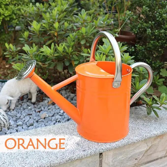 Metal Watering Can, One Gallon Watering Cans Stainless Steel for Outdoor Indoor Garden Plants Watering (Stainless Steel Handle Orange) by GreenHaven Gardens