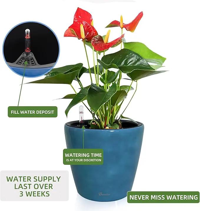 Dexceder 9x8 Inches Self Watering Planter Indoor Outdoor, Inner Pot Design, Thickened Table Flower Plant Pot with Water Level Indicator (Peacock Blue Gradient) by GreenHaven Gardens