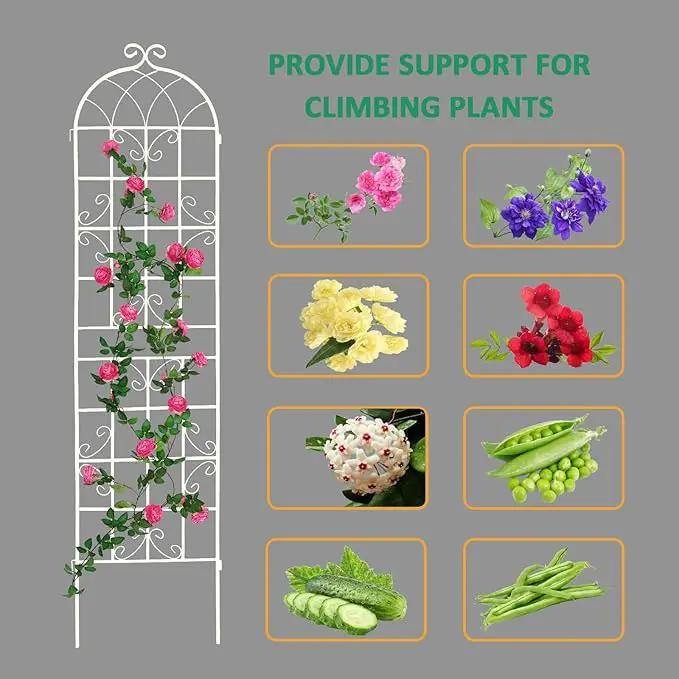 4 Pack Metal Garden Trellis for Climbing Plants Outdoor 86.7" H Cream White Garden Fence Rustproof Trellis Support Roses Flower Lawn, Off White by GreenHaven Gardens