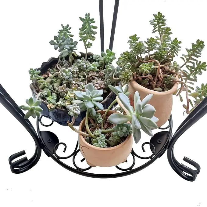 CASIMR 2 Tier Plant Stand, 19.2 inch Tall Metal Potted Holder Rack,Indoor Outdoor Multiple Flower Pot Shelf Rustproof Iron Garden Container for Garden Patio Living Room Corner Balcony, Black by GreenHaven Gardens