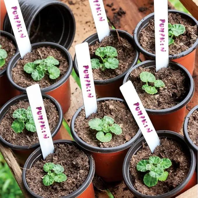 TDHDIKE Plastic Planter Nursery Pots 4" Small (50pcs Pots and 50pcs Labels) Seedlings Flower Pots Container Seed Starting Pots for Plants by GreenHaven Gardens