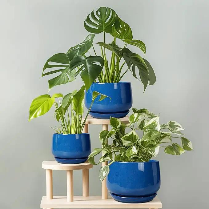 G EPGardening Round Ceramic Plant Pots - 7 Inch Modern Planter with Drainage and Plant Saucer for Indoor Outdoor Flower, Round Office Decor, New Gifts for Home, Blue by GreenHaven Gardens