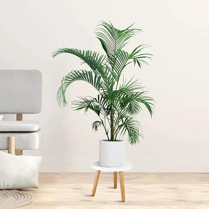 Uneedem Indoor Plant Stand Wood Mid Century Modern Small Round Side Plant Table for Indoor Plants, 8.9" Tall Plant Holder for Flower Pots End Table by GreenHaven Gardens