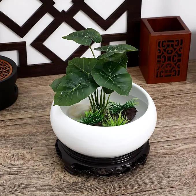 Ceramic Chinese Pot with Base White Water Lily Bowl 6Inch Porcelain Lotus Pot Jardiniere Planter Oriental Fish Bowl Bonsai Vase by GreenHaven Gardens
