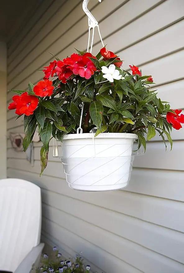 Curtis Wagner Plastics Hanging Basket Drip Pans (5-Pack) | Clear, Round (Diameter = 7.37" Base, 10" Top, 3.7" Depth) Hanging Plant Tray Saucer with Built-in Hooks & Water Catcher for Indoor & Outdoor by GreenHaven Gardens