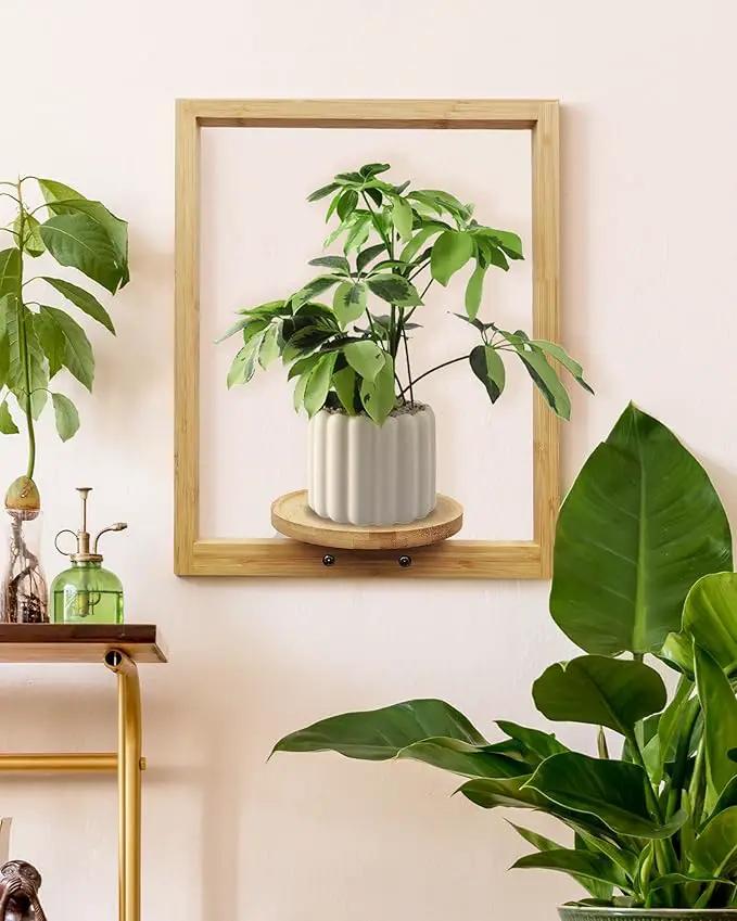 yadoker Wall Planters for Indoor Plants,Bamboo Hanging Plant Holders, Wall Decor Plant Stand, 2-Pack Window Plant Shelves for Living Room & Entryway by GreenHaven Gardens