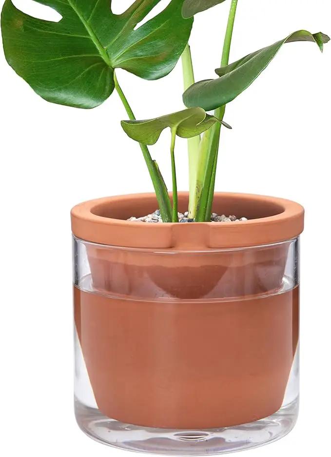 D'vine Dev 8 Inch Design Self Watering Pot for Indoor Plants, Terracotta Planter with Cylinder Glass Cup, Set of 1, 37-X-C-1 by GreenHaven Gardens