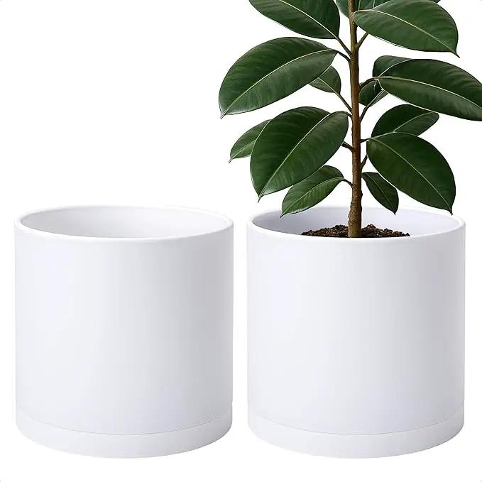 D'vine Dev 2 Pack 12 Inch Modern Plastic Plant Pots, Small Garden Planters for Plant with Drainage Holes and Saucers, White Color, 74-Z-P-1 by GreenHaven Gardens