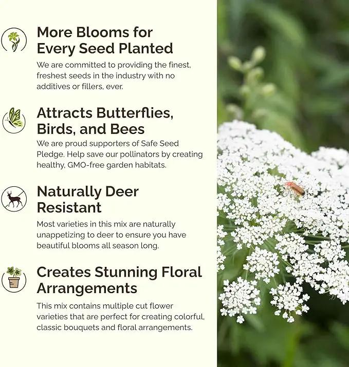 Eden Brothers Moon Garden Flower Mixed Seeds for Planting, 1 lb, 480,000+ Seeds with Cosmos Purity, Bishop's Flower | Attracts Pollinators, Plant in Spring or Fall, Zones 3, 4, 5, 6, 7, 8, 9, 10 by GreenHaven Gardens