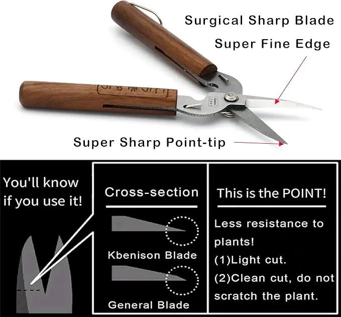 Razor Sharp Pruning Shears for Gardening, Garden Shears Carbon Steel Blade, Precision garden scissors Walnut Wood handle, 6.8” Garden Snips for Trimming Fruits, Vegetables, Flowers, Buds, Bonsai by GreenHaven Gardens
