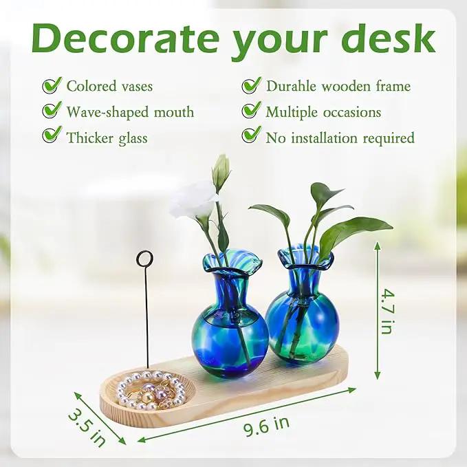 Hand Blown Glass Plant Propagation Stations Plant Terrarium Wooden Stand for Hydroponic Plants Combine Jewelry Tray and Photo Holder Office Home Garden Decor - 2 Bulb Glass Vases by GreenHaven Gardens