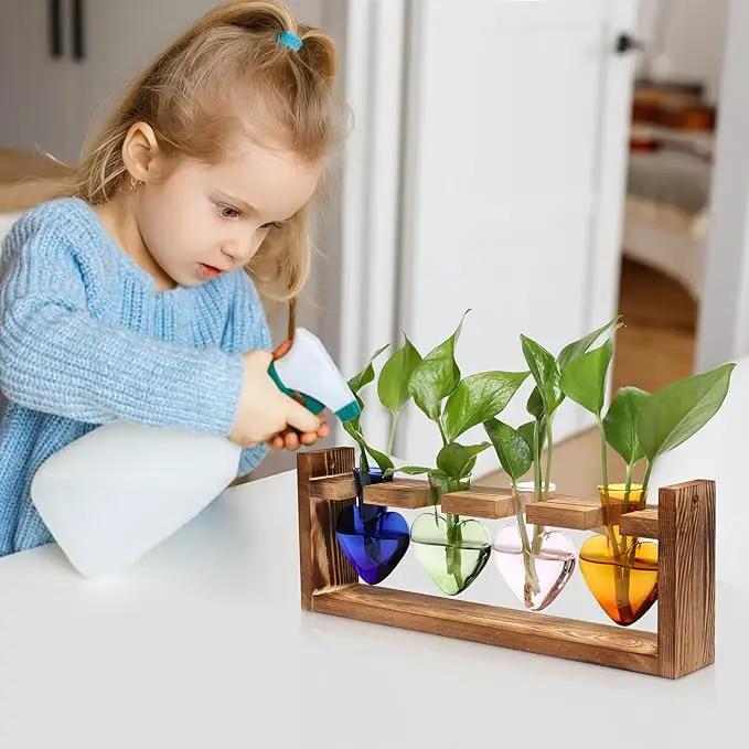 Plant Propagation Stations Heart Plant Terrarium Kit Gift for Women Plant Lover Glass Vases by GreenHaven Gardens