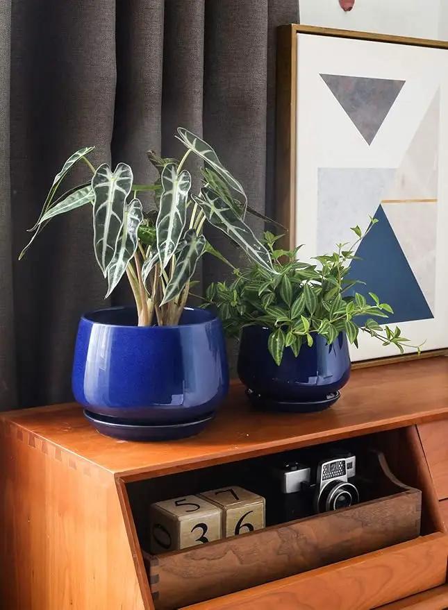 LE TAUCI Plant Pots, 4.1+5.1+6.5 inch, Set of 3, Ceramic Planters with Drainage Hole and Saucer, Indoor Flower Pot with Hole Mesh Pad, Gifts for Mom, Sapphire Blue by GreenHaven Gardens