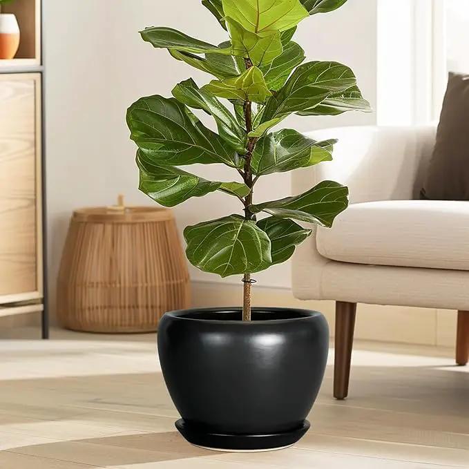 Ceramic Planter Pot - 8 Inch Plant Pot with Drainage Hole and Saucer Round Planter for Indoor Plants Modern Outdoor Flower Pot for House Balcony Black by GreenHaven Gardens