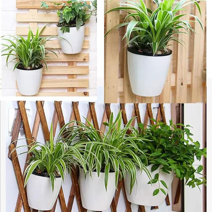 8 Packs 5" Plastic Self Watering Pots Wall Hanging Planters Wall Mounted Wicking Flower Pots for Indoor and Outdoor African Violet, Ocean Spider Plant, Orchid, White by GreenHaven Gardens