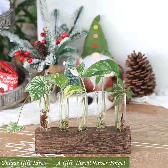 KAXYEW Desktop Glass Plant Propagation Station Test Tube Plant Terrarium in Wooden Stand for Hydroponic Plants Cutting Office Home Decoration Gift for Women (5 Test Tubes-BR) by GreenHaven Gardens
