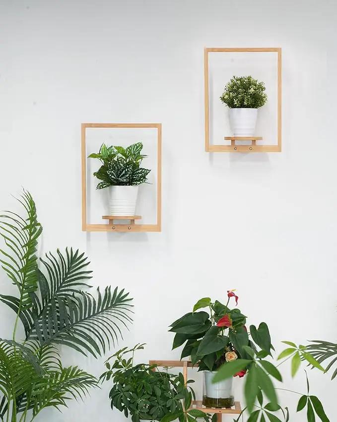 yadoker Wall Planters for Indoor Plants,Bamboo Hanging Plant Holders, Wall Decor Plant Stand, 1-Pack Window Plant Shelves for Living Room & Entryway by GreenHaven Gardens