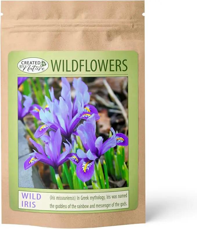 Wild Iris (Iris missouriensis) Seeds | 400+ Non-GMO Wildflower Seeds for Pollinators, Perennial Flowers for Meadows, Gardens by GreenHaven Gardens