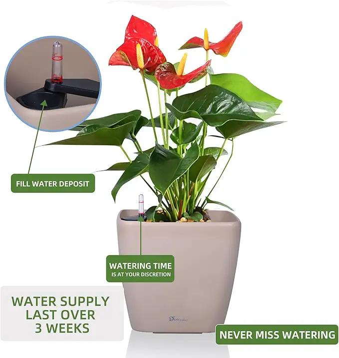 Dexceder 9x8 Self Watering Planter Indoor Outdoor, Inner Mat Design, Thickened Table Flower Plant Pot with Water Level Indicator (Taupe Matte) by GreenHaven Gardens