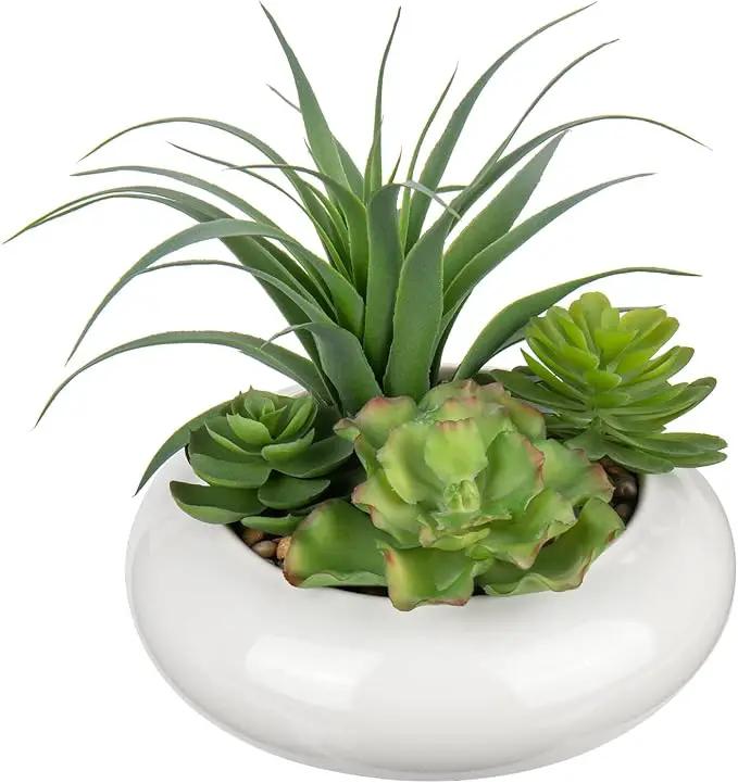 Large Artificial Succulents Plants Faux Succulents in Pots Fake Succulent Arrangement Potted Plants with White Ceramic Pot for Office Desk Bathroom Shelf Living Room Indoor & Outdoor Home Decor by GreenHaven Gardens