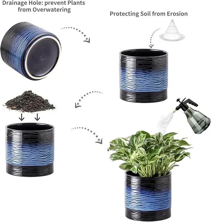 Nihow Ceramic Plant Pot: 6 Inch Planter with Drainage Hole & Saucer for Indoor & Outdoor Plants - Cylinder Round Flower Pot for Succulent/Herbs/Violets - Black & Vivid Blue by GreenHaven Gardens