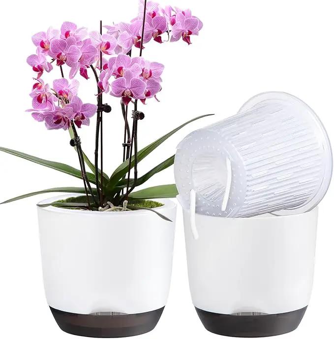 QCQHDU 2 Pack Orchid Pots with Holes for Repotting, Double-Layer and Self Watering Orchid Pot with Good Air Circulation by GreenHaven Gardens