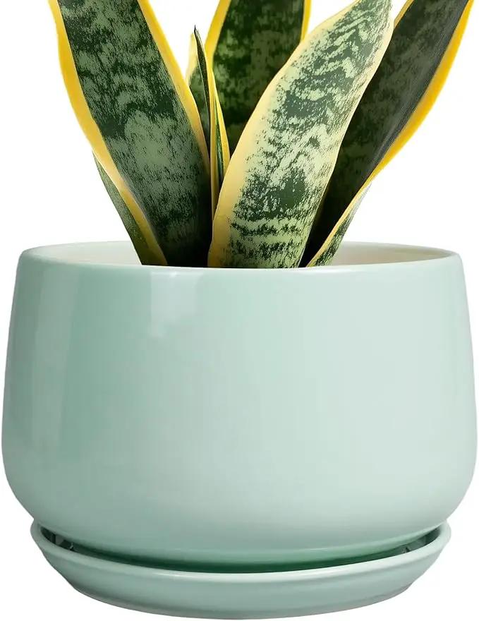 G EPGardening Ceramic Plant Pots - 7 Inch Planter for Indoor Outdoor Plants, Ceramic Planter with Drainage and Saucer, Round Modern Flower Pots, House Decor, Gift for Men Women, Green by GreenHaven Gardens