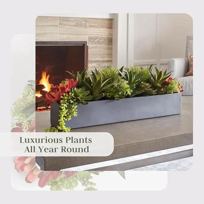 Oblong Faux Succulent Arrangement, Premium Artificial Indoor Plant Enhances Interior Design, Display on any Surface in Your Home Adding an Inviting Touch of Nature, Grey Planter Pot Included by GreenHaven Gardens