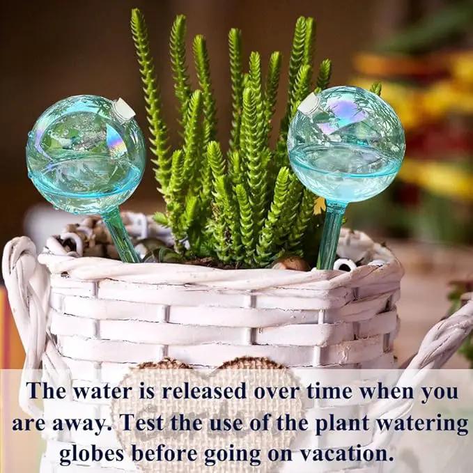 2pcs Galss Plant Watering Devices, Planter Self Watering Globes for Home Potting, Garden Flower Plant Watering Spikes Automatic Plant Waterer System Set for Indoor Outdoor Plant Daily Watering by GreenHaven Gardens