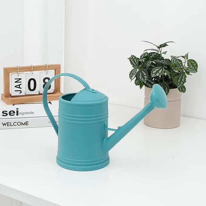 Watering Can for Indoor Plants, Flower Watering Can, Plastic Water Can for Plants, Indoor Watering Can with Sprinkler Head 68 oz, 1/2 Gallons by GreenHaven Gardens