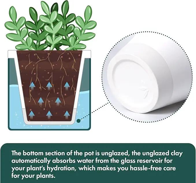 D'vine Dev 4 Inch Design Self Watering Planter for Indoor Plants, White Terracotta Pot with Teal Cylinder Glass Cup, Set of 3,37-Z-A-5-T by GreenHaven Gardens