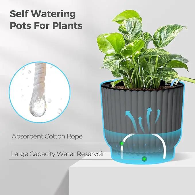 T4U 6 Inch Self Watering Pots for Indoor Plants, 6 Pack Planters for Indoor Plants, Durable Plastic Charcoal Gray Pots for Indoor Plants, African Violets, Flower by GreenHaven Gardens