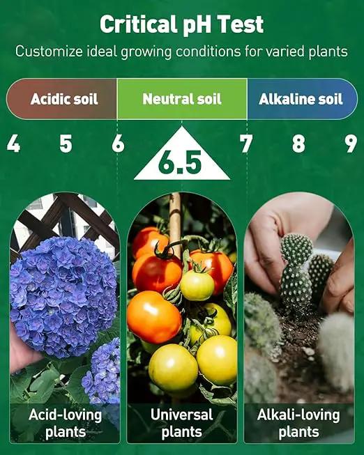 Pawfly 2 in 1 Soil Test Kit for pH & Nitrogen, 30 Strips Soil pH Test Kit, Soil pH Test Strips (3.5-9 Range), Soil Testing Kit for Lawn Garden Indoor & Outdoor by GreenHaven Gardens