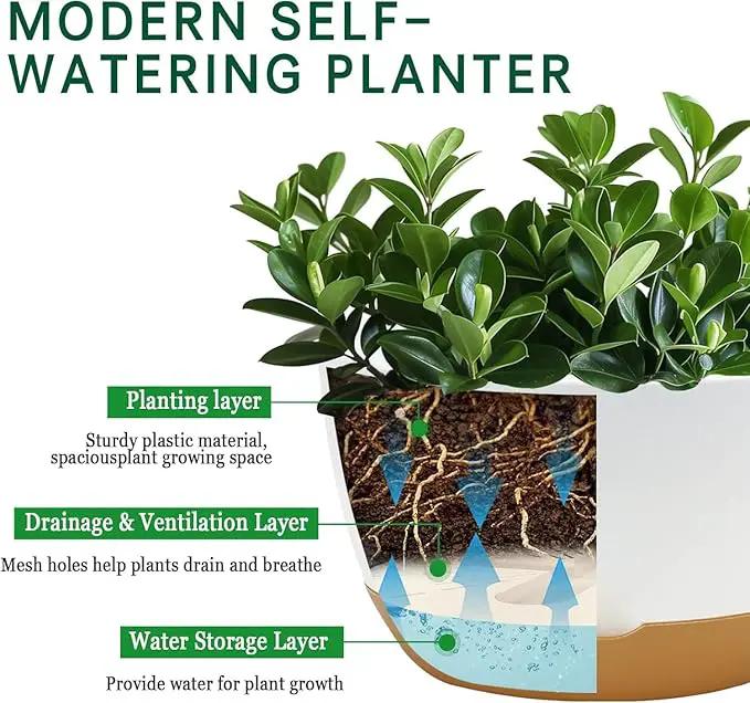 8 Inch Pots for Indoor Plants, Self Watering Planters with Drainage and Saucers, Plastic Outdoor Flower Pot, Set of 2, White by GreenHaven Gardens