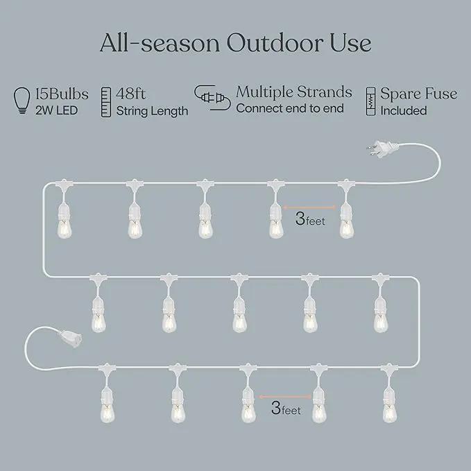 Brightech Ambience Pro Waterproof LED Outdoor String Lights, 48 Ft, Hanging, Dimmable Vintage Edison Bulbs, 15 Bulbs, 2W by GreenHaven Gardens