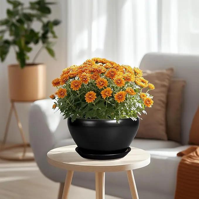 Plant Pot Large 9 Inch - Ceramic Pots for Plants with Drainage Hole and Saucer Round Planter for Indoor Plants Decorative Outdoor Flower Pot Large for House Balcony Black by GreenHaven Gardens