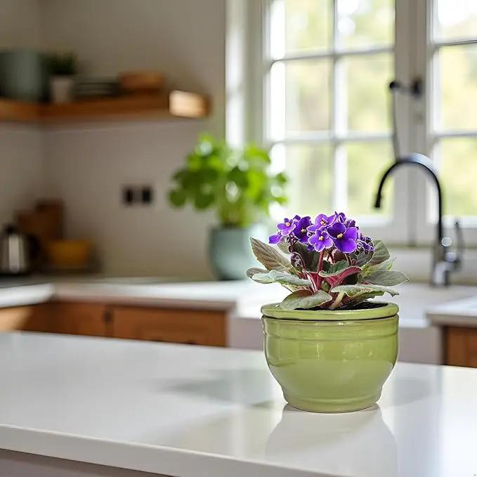 African Violet Pots Self Watering Round Ceramic Violet Pot (Green, 6 inch) by GreenHaven Gardens