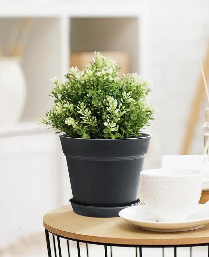 Homenote Pots for Plants, 8 Pcs 7.5 Inch Plastic Planters with Multiple Drainage Holes and Tray - Plant Pots for All Home Garden Flowers Succulents, Matte Black by GreenHaven Gardens