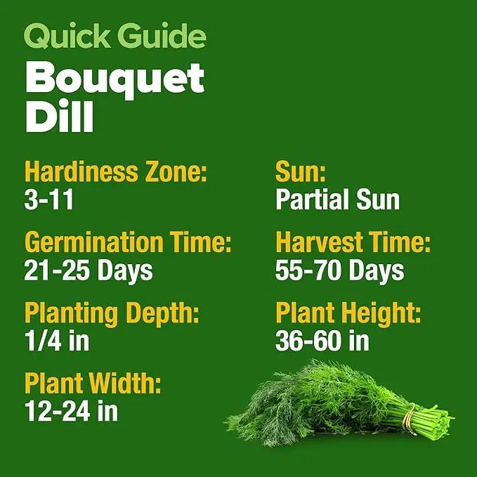 HOME GROWN Dill Seeds 2 Pack (Anethum Graveolens) - 2028 Non-GMO Heirloom Herb Seeds for Planting Indoors or Outdoors, High Germination, Ideal for Herb Gardens, Pots, and Cooking Flavorful Dishes by GreenHaven Gardens