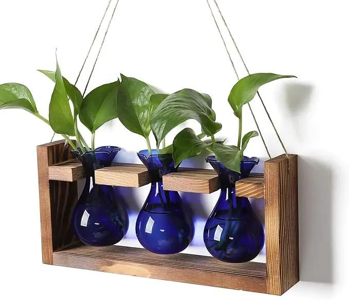Plant Propagation Station Plant Terrarium Unique Birthday Gifts for Women Plant Lovers Home Office Decor Planter with Wooden Stand - 3 Bulb Glass Vase by GreenHaven Gardens