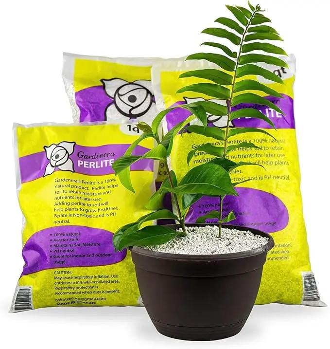 Premium Gardenera Organic Perlite - Medium/Fine Grade Horticultural Soil Amendment for Indoor & Outdoor Container Plants for Drainage Management and Enhanced Growth - 8 Quart Bag by GreenHaven Gardens