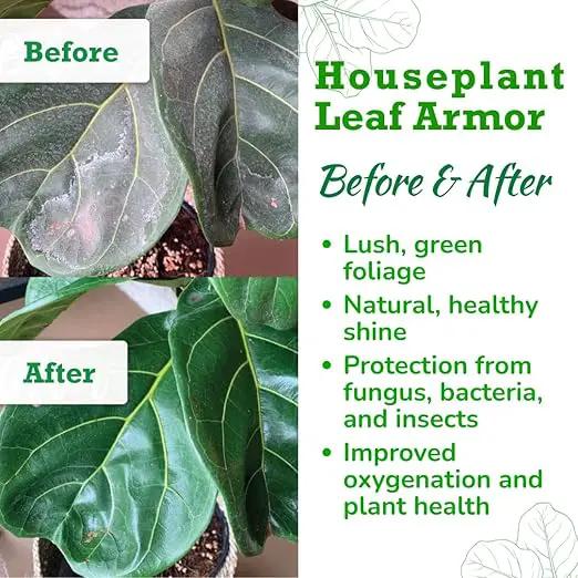 Leaf Armor Spray for Houseplants – Protects Against Fungal Leaf Spots, Bacteria, Pathogens & Yellowing | Gentle & Natural Phosphite Formula | Ready-to-Use | Made in USA – 8 oz by GreenHaven Gardens
